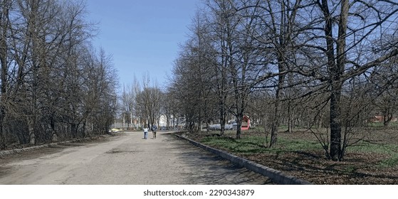 Taking a stroll down the path of a spring park is a refreshing experience. As the buds begin to bloom, the blue sky and fluffy clouds create a picturesque backdrop for your walk.