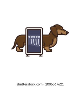 Taking an X-ray image of a Dachshund isolated vector illustration for X-Ray day on November 8