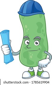 Talented Architect enterobacteriaceae cartoon design style having blue prints. Vector illustration