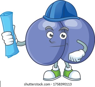 Talented Architect streptococcus pneumoniae cartoon design style having blue prints