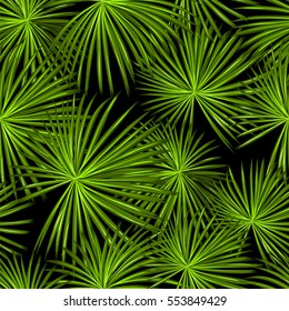 Talipot. Seamless tropical pattern of Palm branch and leaves. Vector illustration.