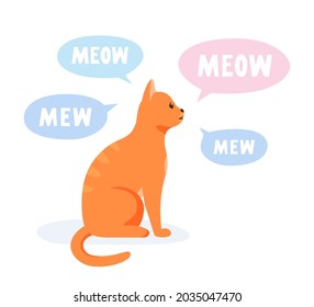 Talkative cat meowing and yowling a lot. Vocal domestic cat talking and yelling. Flat style vector