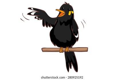 talkative hill myna bird vector illustration