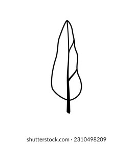 Tall black tree with crown, branch, trunk. Plant silhouette. Clipart. Isolated element.	 
