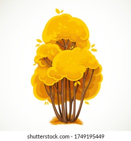 Tall bush with a lush crown of yellow autumn leaves vector drawing isolated on white background
