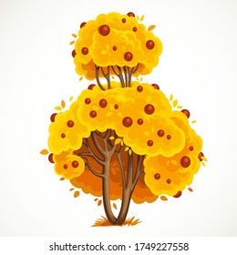 Tall bush with a lush crown of yellow autumn leaves and red berries vector drawing isolated on white background