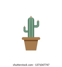 Tall Cactus Flat Design
