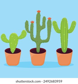 Tall cactus planted in a pot vectro illustration.