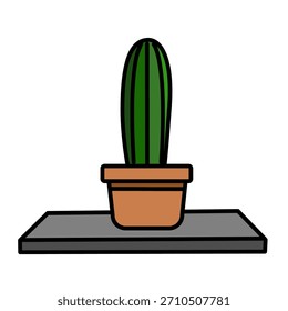Tall Column Cactus Reaching Up