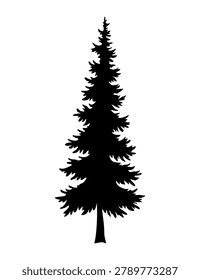 Tall conifer silhouette pointing toward sky, layered needles forming dense triangular profile, evergreen alpine mood with woodland depth and seasonal holiday resonance