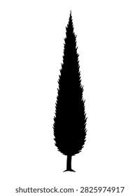 Tall conifer silhouette pointing toward sky, layered needles forming dense triangular profile, evergreen alpine mood with woodland depth and seasonal holiday resonance
