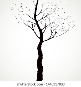 Tall copse bark. Romantic outdoor wintertime scene view. Space for text on light evening sky. Freehand line dark ink hand drawn picture logo sketchy in artist contour retro print style on paper card