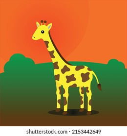 Tall cute giraffe standing in a field