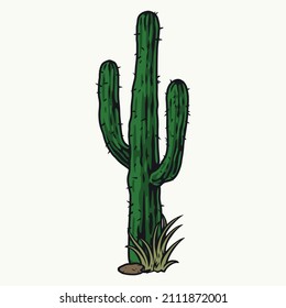 Tall desert cactus plant with spines and grass around trunk, isolated vector illustration