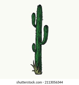 Tall desert cactus with spines and grass around trunk in colorful vintage style, vector illustration