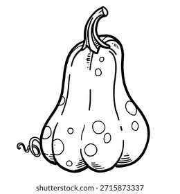 Tall elongated pumpkin linear drawing on white background