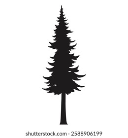 A tall evergreen conifer tree silhouette stands against a white background showcasing the tree's slender trunk and layered branches. Its dark shape emphasizes the height and symmetry.