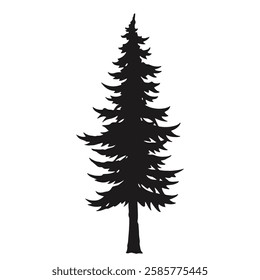 A tall evergreen tree silhouette stands prominently against a plain white background showcasing its distinctive needle-like leaves and symmetrical shape.