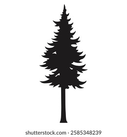 A tall evergreen tree stands prominently with a detailed silhouette showcasing its branches and leaves. The background is plain white highlighting the shape of the tree.