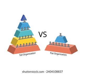 tall and flat organizational structure with wide and small wide spans of control