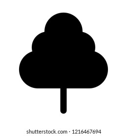 Tall forest tree