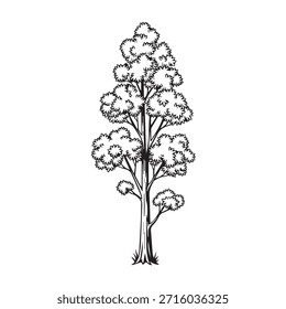 "Tall Forest Tree with Dense Foliage Icon."