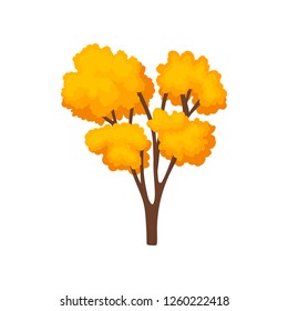Tall forest tree with many branches and bright yellow-orange leaves. Natural landscape element. Flat vector icon