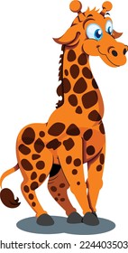 tall friendly giraffe white background
