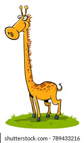 Tall giraffe smiling