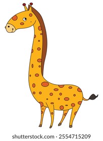 A tall giraffes isolated on a white background