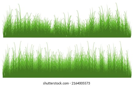 tall grass, grass field vector