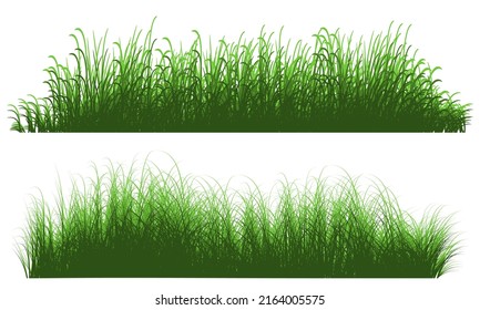 tall grass, grass field vector