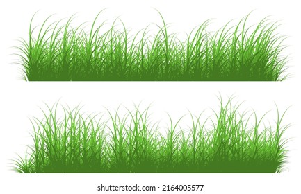 tall grass, grass field vector