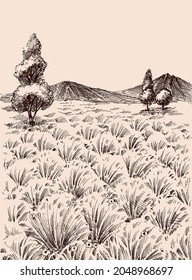 Tall Grass Meadow Hand Drawing, Vaste Wilderness Lands