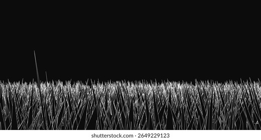 Tall grass stands in sharp contrast against a black background, creating a dramatic monochrome composition. The delicate blades are finely detailed, emphasizing texture and form.