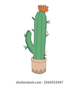 a tall green cactus in a pot 