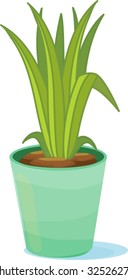 Tall green leaves inside a green flower pot