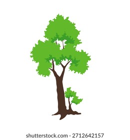 Tall Green Tree Nature Vector