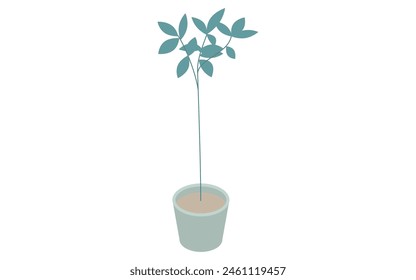 Tall houseplant, simple isometric illustration, Vector Illustration