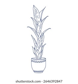 Tall Indoor Plant in Pot Hand Drawn Vector Illustration  