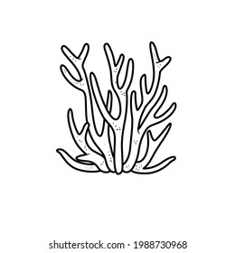Tall long thin coral coloring book linear drawing isolated on white background