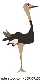 A tall ostrich standing in black and brown color vector color drawing or illustration