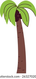 A tall palm tree with coconuts in a cartoon style. The tree features a slender trunk and large leaves. Cartoon vector illustration.