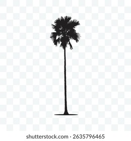 Tall Palm Tree Silhouette Vector Illustration, Tropical Plant Graphic