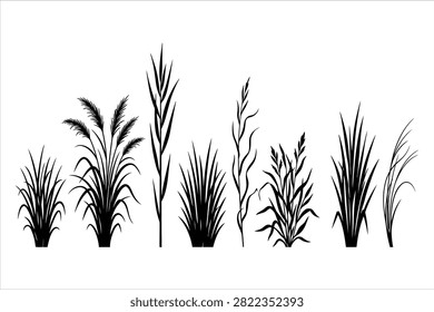 Tall pampas grass silhouette set with reed meadow plants cattail strands wild cereal ears and field grass black and white vector illustration
