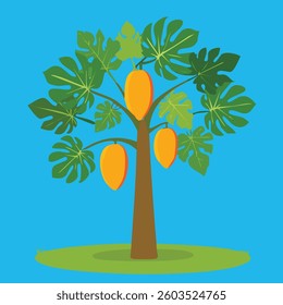 A tall papaya tree with lush green leaves and ripe papayas hanging from its branches
