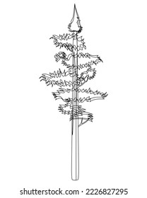 Tall Pine tree in lineart. Evergreen forest coniferous spruce tree. Vector illustration on a white background.