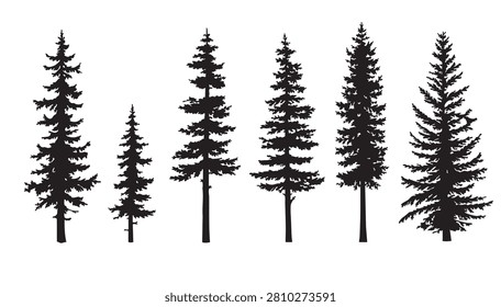 Tall Pine Trees Silhouettes Collection Vector Illustration