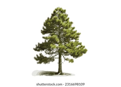 tall pine wood white background