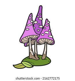 Tall poisonous mushrooms color variation for coloring page isolated on white background